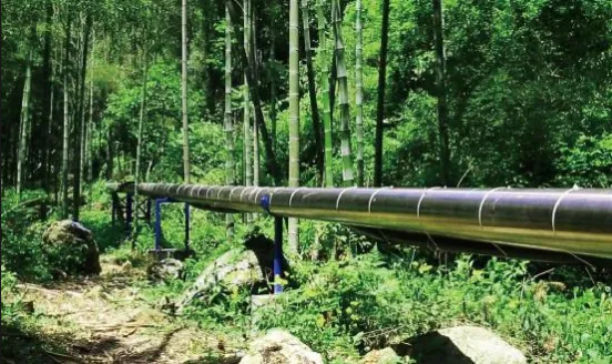 1762416971746174.png image.png