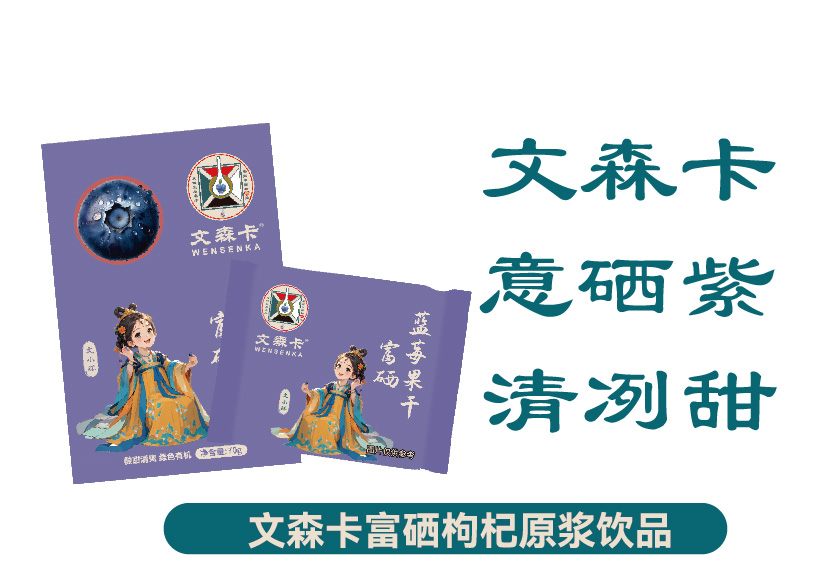 文森卡富硒蓝莓果干